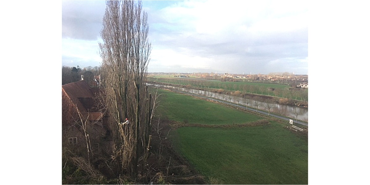 Heerlijk werken aan de Leie